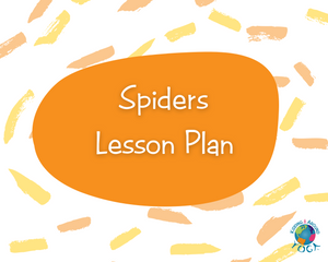 Spiders Lesson Plan (Non KAY Teachers)